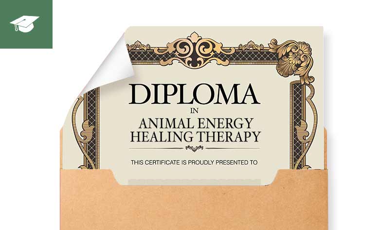 Diploma Certificate in Animal Energy Healing Therapy - Healing Courses Online