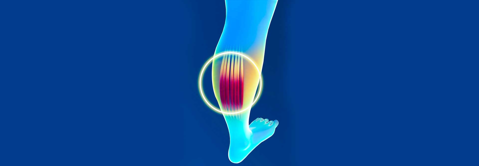 Muscle Cramp In The Calf Muscles - Self Healing Course