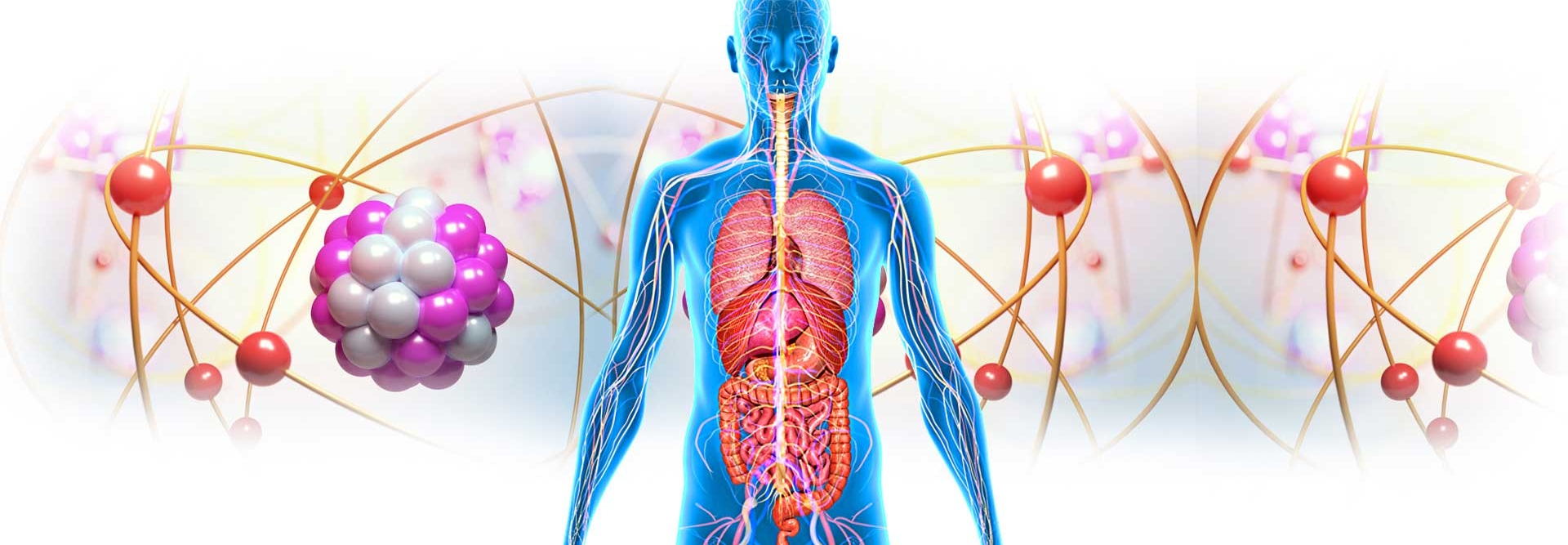 At a cellular level the human body is a complex energy field system