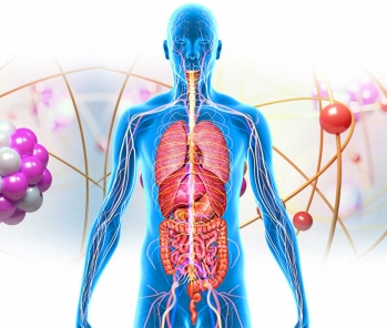 At a cellular level the human body is a complex energy field system