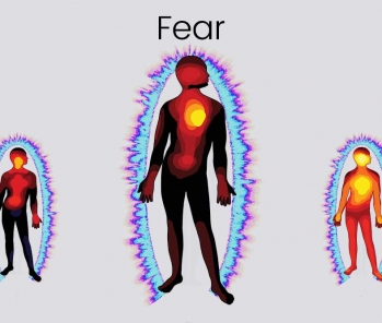 How the brain reacts when we feel fear prepares for fight or flight